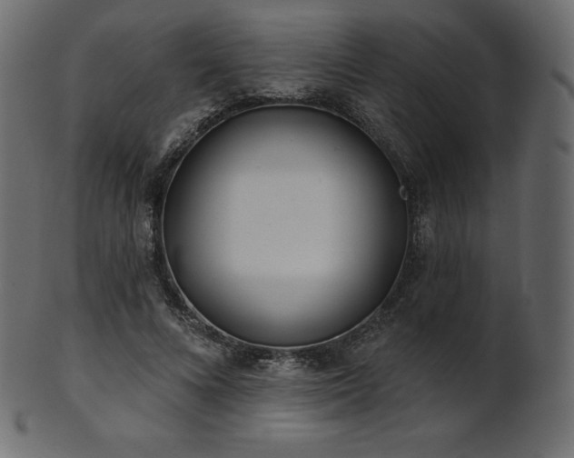 X0000102020688200807181327