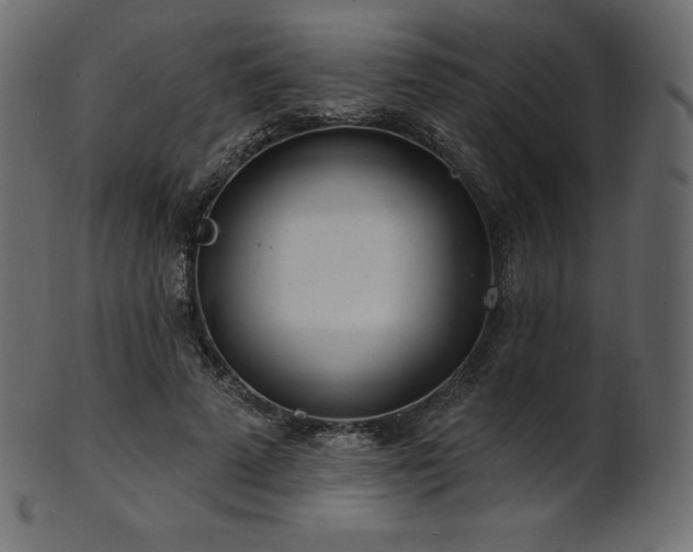 X0000102020689200807181327