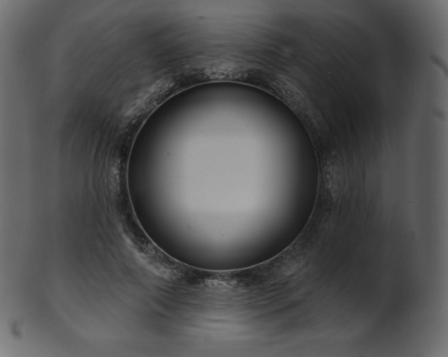 X0000102020690200807181327