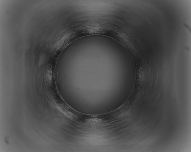 X0000102020691200807181327