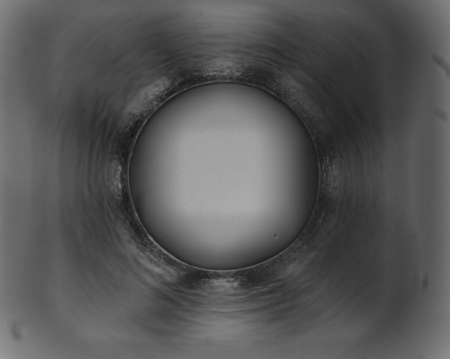 X0000102020692200807181327