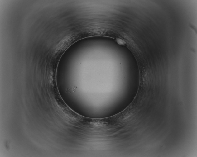 X0000102020693200807181327