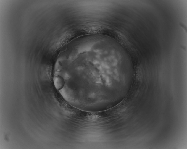 X0000102020695200807181327