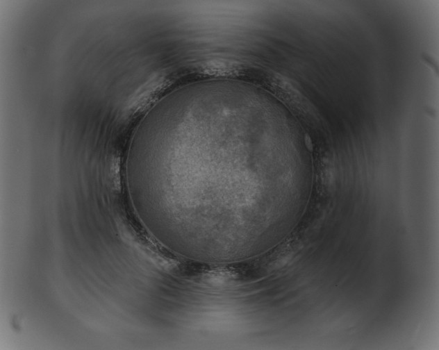 X0000102020696200807181327