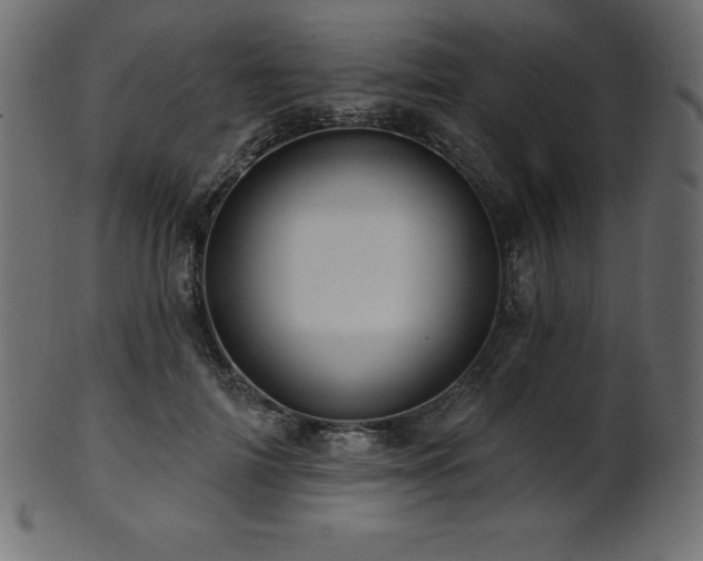 X0000102020698200807181327