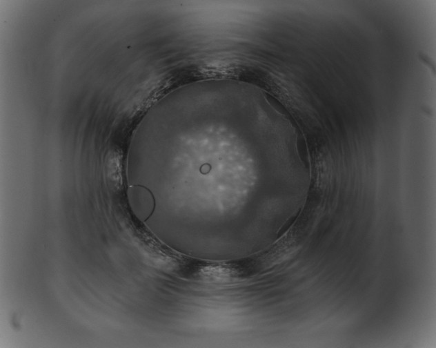 X0000102020699200807181327