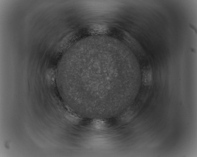 X0000102020701200807181327