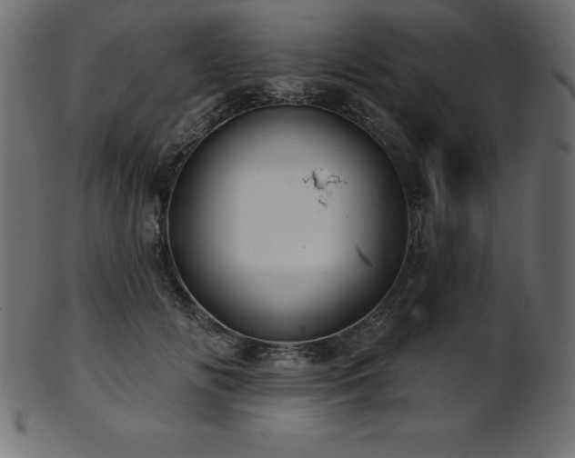 X0000102020702200807181327