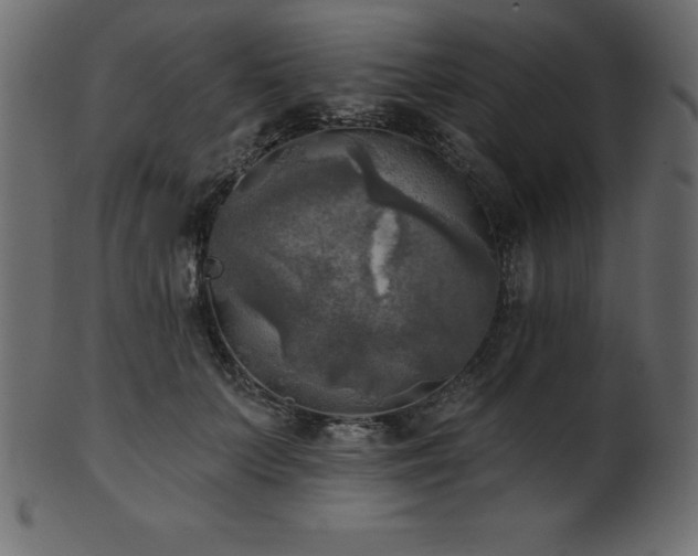 X0000102020703200807181327