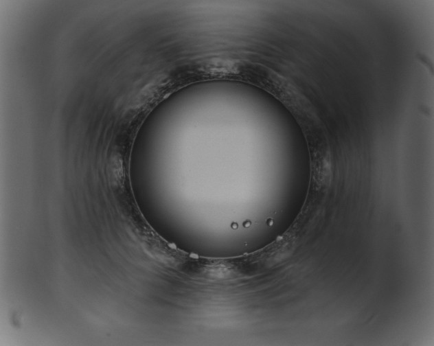 X0000102020704200807181327
