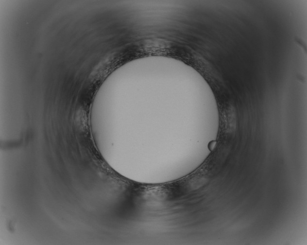 X0000102020705200807181327