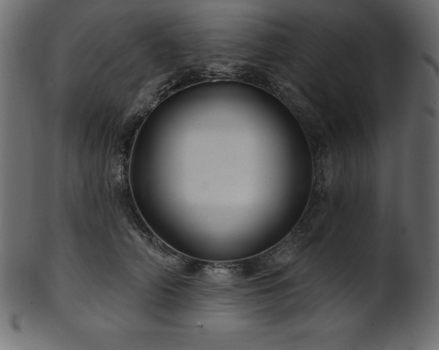 X0000102020706200807181327