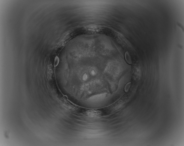 X0000102020707200807181327