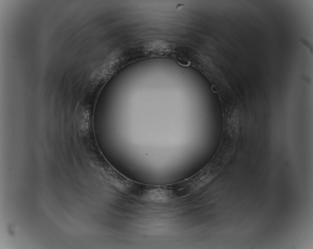 X0000102020708200807181327