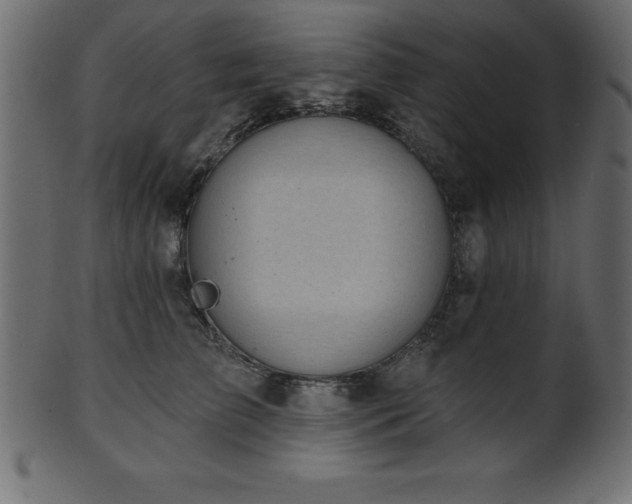 X0000102020709200807181327