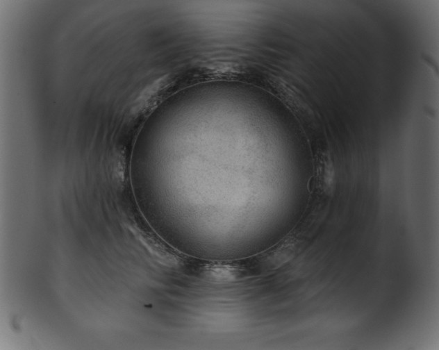 X0000102020710200807181327