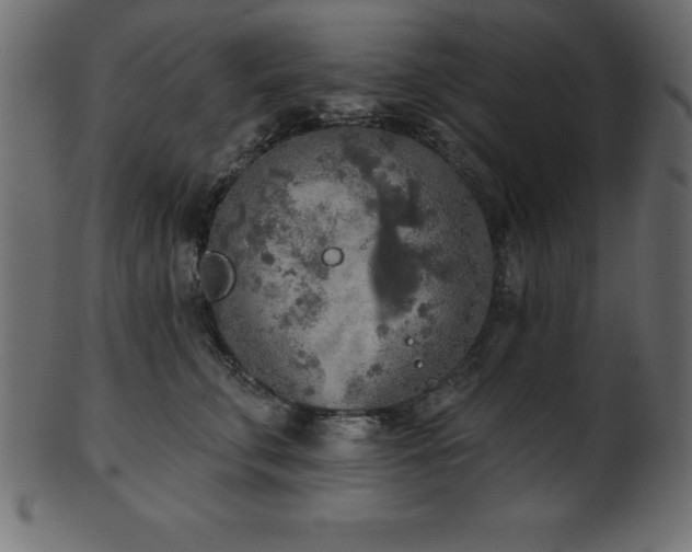 X0000102020711200807181327