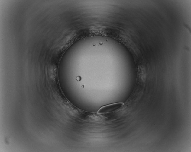 X0000102020712200807181327