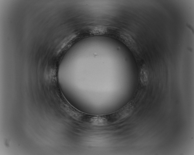 X0000102020714200807181326