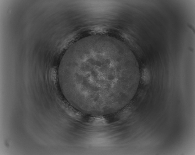 X0000102020715200807181326