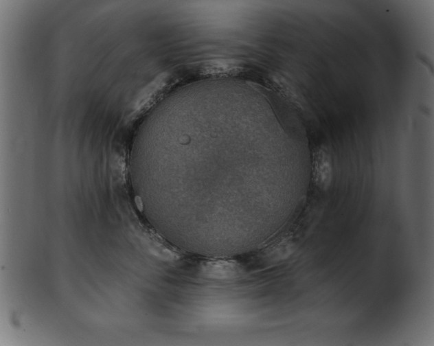 X0000102020716200807181326