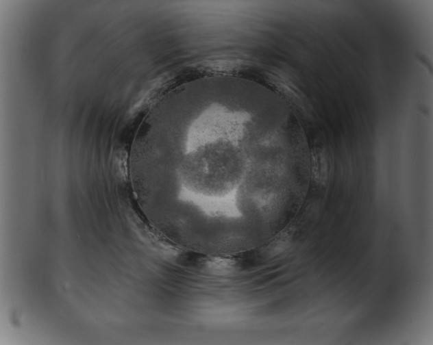 X0000102020718200807181326