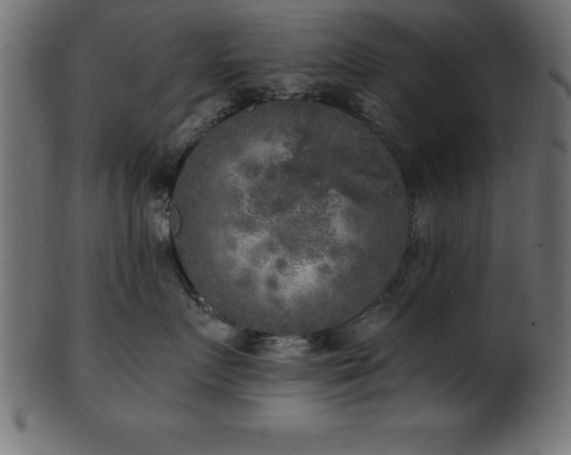 X0000102020719200807181326