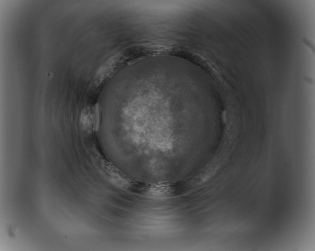 X0000102020720200807181326