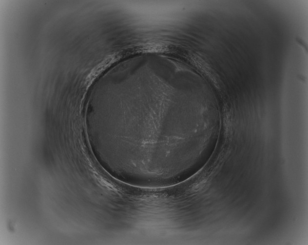 X0000102020721200807181326