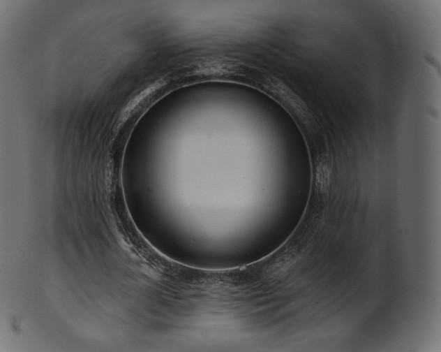 X0000102020724200807181326