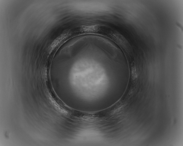 X0000102020725200807181326