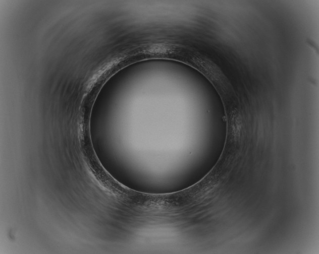 X0000102020728200807181326