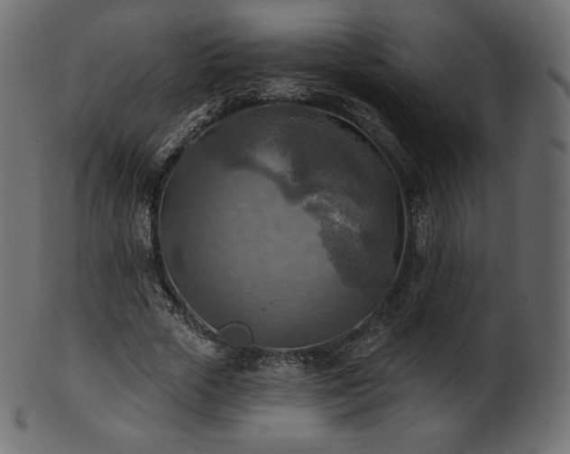 X0000102020729200807181326