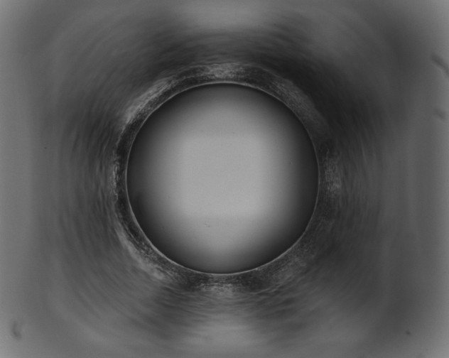 X0000102020730200807181326