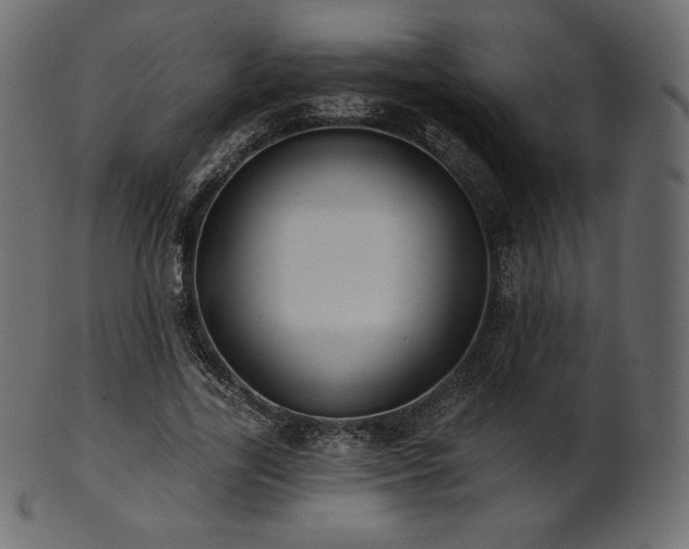X0000102020731200807181326
