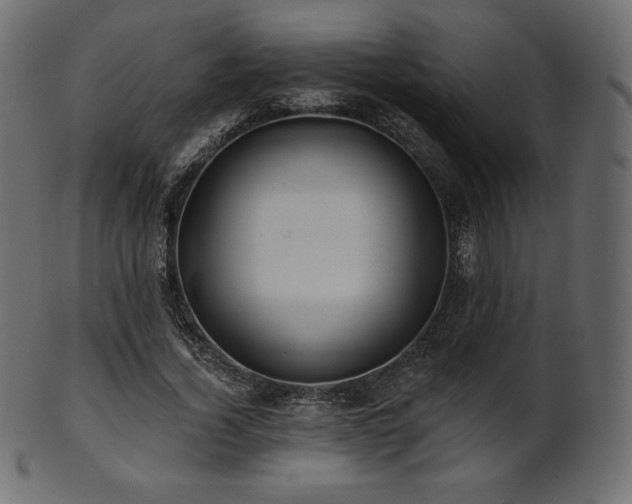 X0000102020732200807181326