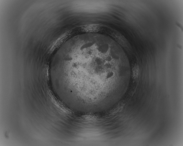 X0000102020733200807181326