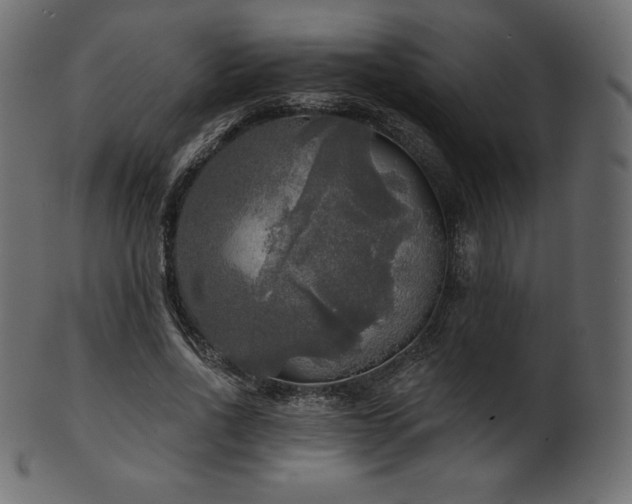 X0000102020734200807181326