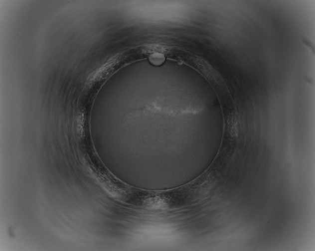 X0000102020735200807181326