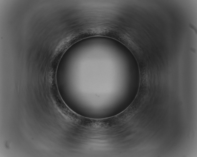 X0000102020736200807181326