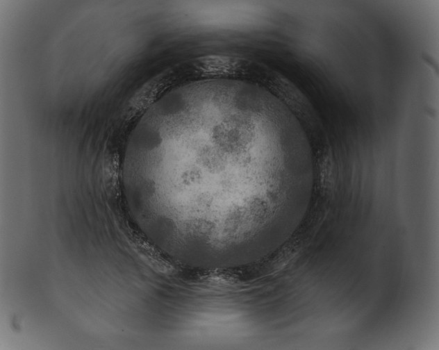 X0000102020737200807181326