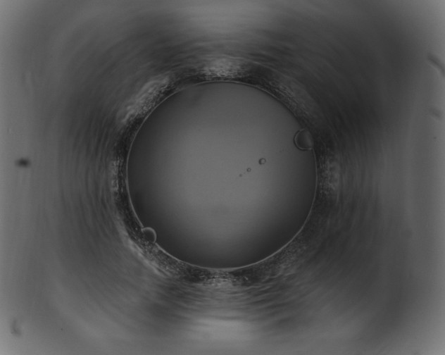 X0000102020738200807181326
