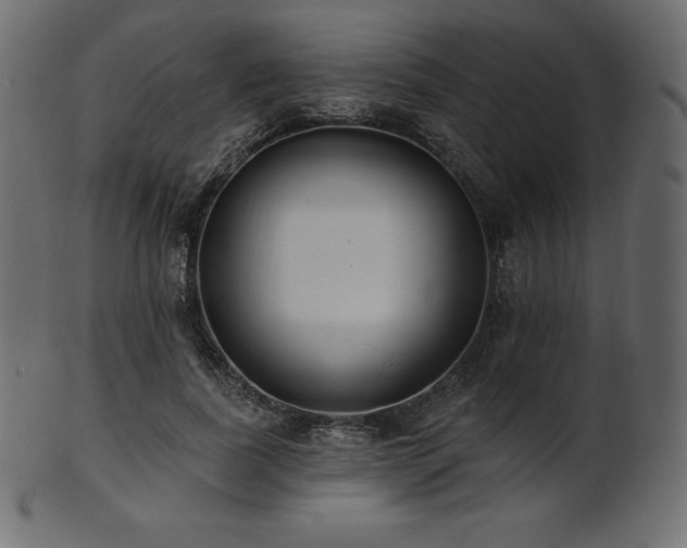 X0000102020739200807181326
