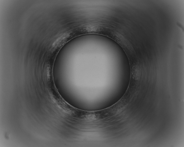 X0000102020740200807181326
