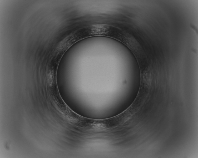 X0000102020741200807181326