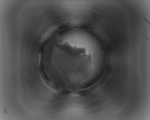 X0000102020742200807181326