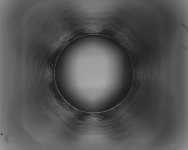 X0000102020743200807181326