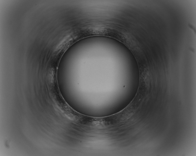 X0000102020744200807181326