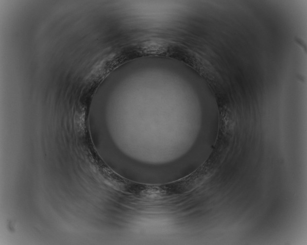 X0000102020745200807181326