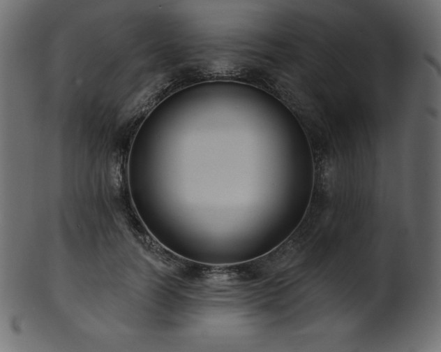 X0000102020746200807181326